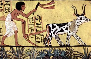 Burial chamber of Sennedjem, Scene: Plowing farmer. Circa 1200 BCE.
