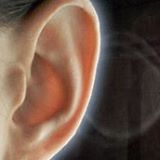 1000797_387153258051209_2093229143_n