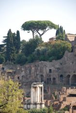 The Temple of Vesta.