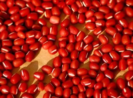 adzuki bean