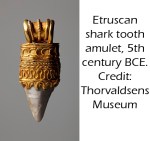 Etruscan Shark Tooth&nbsp;Caption