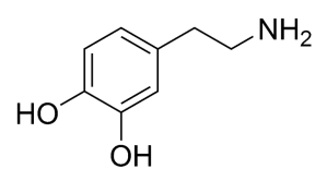 Chemical structure of dopamine.