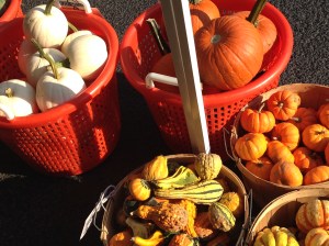 war of the worlds pumpkins