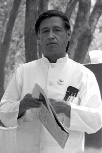 César Chávez at a United Farmworkers rally, 1974. Image courtesy of http://commons.wikimedia.org/wiki/File:Cesar_chavez_crop2.jpg.