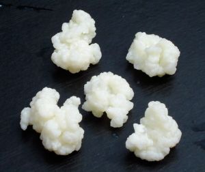 Kefir grains. Image credit: tarlkgore on Flickr.