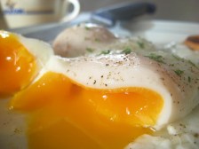 poached eggs