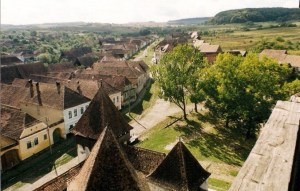 View from atop the tower of a church in Archita, Romania. (Photo Courtesy of GHF.)